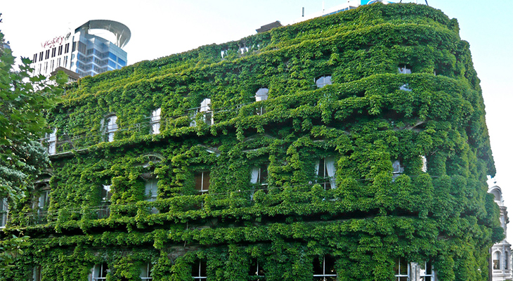 green building green building